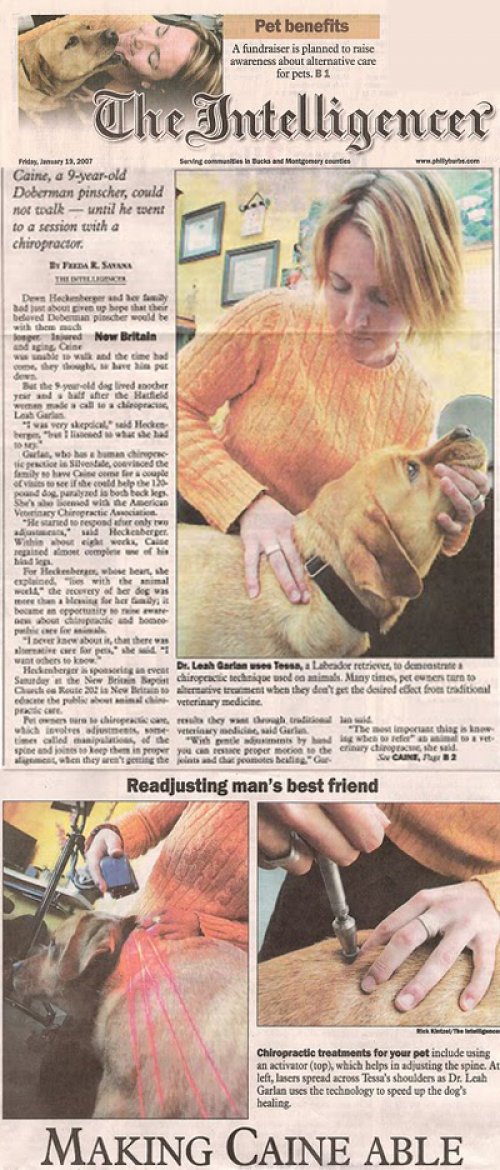Chiropractor Perkasie PA In the News Chiropractor Perkasie PA In the News