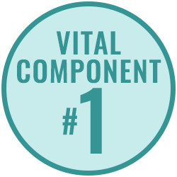 Vital Component 1 Vital Component 1