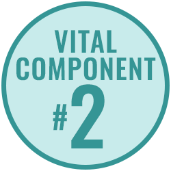 Vital Component 2 Vital Component 2