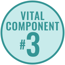 Vital Component 3 Vital Component 3