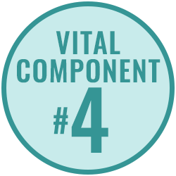 Vital Component 4 Vital Component 4